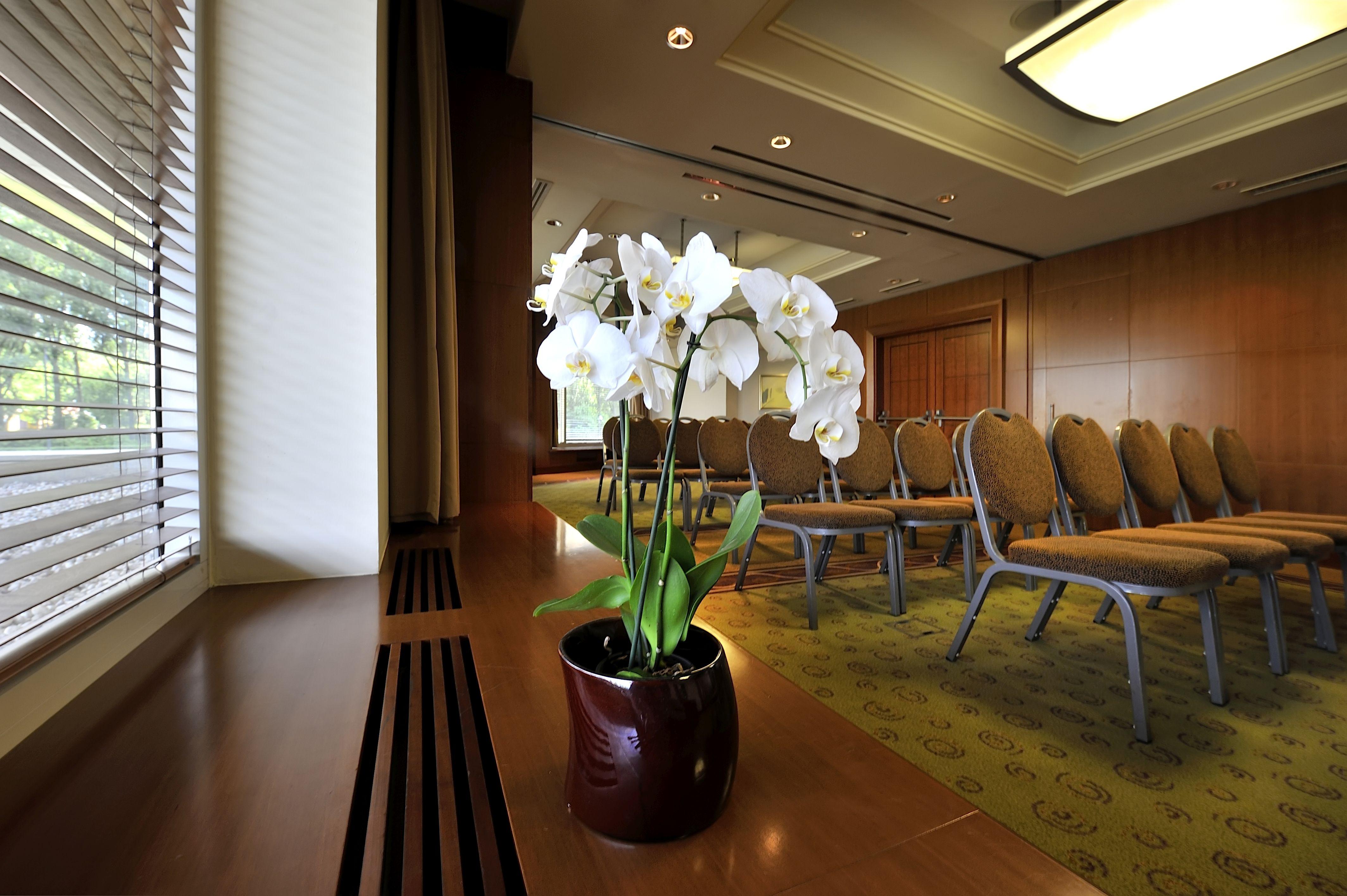 Regent Warsaw Hotel Exterior photo The photo shows a decorative arrangement of white orchids in a brown pot, positioned on a wooden surface. In the background, there are several empty chairs set up in a room, indicating a space that may be used for meetings or gatherings. The setting 
